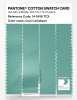 Artikelbild 3 des Artikels “PANTONE® COTTON SWATCH CARD 14-5618 TCX Cool Caribbean “
