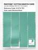 Artikelbild 3 des Artikels “PANTONE® COTTON SWATCH CARD 14-5714 TCX Beveled Glass “