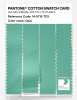 Artikelbild 3 des Artikels “PANTONE® COTTON SWATCH CARD 14-5718 TCX Opal “