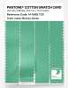 Artikelbild 3 des Artikels “PANTONE® COTTON SWATCH CARD 14-5828 TCX Breezy Green “