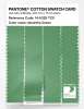 Artikelbild 3 des Artikels “PANTONE® COTTON SWATCH CARD 14-6329 TCX Absinthe Green “