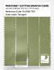 Product image 3 of the product “PANTONE® COTTON SWATCH CARD 15-0326 TCX Tarragon ”