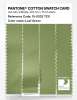 Artikelbild 3 des Artikels “PANTONE® COTTON SWATCH CARD 15-0332 TCX Leaf Green “