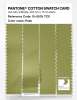 Artikelbild 3 des Artikels “PANTONE® COTTON SWATCH CARD 15-0535 TCX Palm “