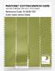 Product image 3 of the product “PANTONE® COTTON SWATCH CARD 15-0538 TCX Green Oasis ”