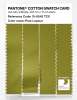 Artikelbild 3 des Artikels “PANTONE® COTTON SWATCH CARD 15-0542 TCX Pear Liqueur “