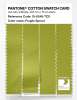 Artikelbild 3 des Artikels “PANTONE® COTTON SWATCH CARD 15-0549 TCX Fragile Sprout “