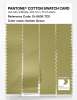 Product image 3 of the product “PANTONE® COTTON SWATCH CARD 15-0636 TCX Golden Green ”