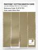 Artikelbild 3 des Artikels “PANTONE® COTTON SWATCH CARD 15-0719 TCX Silver Fern “