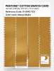 Artikelbild 3 des Artikels “PANTONE® COTTON SWATCH CARD 15-0960 TCX Mango Mojito “