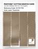 Product image 3 of the product “PANTONE® COTTON SWATCH CARD 15-1114 TCX Travertine ”