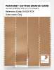 Artikelbild 3 des Artikels “PANTONE® COTTON SWATCH CARD 15-1231 TCX Clay “