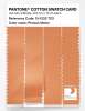 Artikelbild 3 des Artikels “PANTONE® COTTON SWATCH CARD 15-1232 TCX Persian Melon “