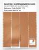 Product image 3 of the product “PANTONE® COTTON SWATCH CARD 15-1237 TCX Apricot Tan ”