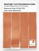 Product image 3 of the product “PANTONE® COTTON SWATCH CARD 15-1242 TCX Muskmelon ”