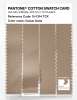Artikelbild 3 des Artikels “PANTONE® COTTON SWATCH CARD 15-1314 TCX Cuban Sand “