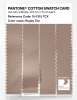 Artikelbild 3 des Artikels “PANTONE® COTTON SWATCH CARD 15-1315 TCX Rugby Tan “