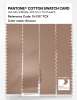 Product image 3 of the product “PANTONE® COTTON SWATCH CARD 15-1317 TCX Sirocco ”