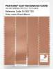 Product image 3 of the product “PANTONE® COTTON SWATCH CARD 15-1327 TCX Peach Bloom ”