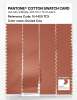 Artikelbild 3 des Artikels “PANTONE® COTTON SWATCH CARD 15-1429 TCX Dusted Clay “