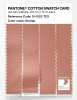 Product image 3 of the product “PANTONE® COTTON SWATCH CARD 15-1523 TCX Shrimp ”