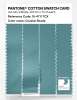 Artikelbild 3 des Artikels “PANTONE® COTTON SWATCH CARD 15-4711 TCX Coastal Shade “