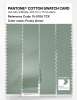 Artikelbild 3 des Artikels “PANTONE® COTTON SWATCH CARD 15-5706 TCX Frosty Green “