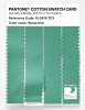Product image 3 of the product “PANTONE® COTTON SWATCH CARD 15-5819 TCX Spearmint ”