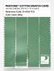 Artikelbild 3 des Artikels “PANTONE® COTTON SWATCH CARD 15-6120 TCX Ming “