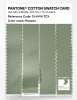 Artikelbild 3 des Artikels “PANTONE® COTTON SWATCH CARD 15-6414 TCX Reseda “