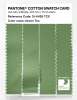 Product image 3 of the product “PANTONE® COTTON SWATCH CARD 15-6428 TCX Green Tea ”