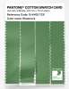 Product image 3 of the product “PANTONE® COTTON SWATCH CARD 15-6432 TCX Shamrock ”