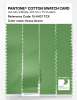 Product image 3 of the product “PANTONE® COTTON SWATCH CARD 15-6437 TCX Grass Green ”