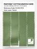 Product image 3 of the product “PANTONE® COTTON SWATCH CARD 16-0123 TCX Tendril ”