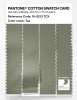 Artikelbild 3 des Artikels “PANTONE® COTTON SWATCH CARD 16-0213 TCX Tea “