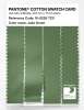 Artikelbild 3 des Artikels “PANTONE® COTTON SWATCH CARD 16-0228 TCX Jade Green “