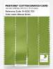 Product image 3 of the product “PANTONE® COTTON SWATCH CARD 16-0230 TCX Macaw Green ”
