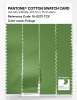 Product image 3 of the product “PANTONE® COTTON SWATCH CARD 16-0237 TCX Foliage ”
