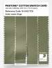 Product image 3 of the product “PANTONE® COTTON SWATCH CARD 16-0421 TCX Sage ”