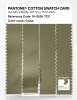 Artikelbild 3 des Artikels “PANTONE® COTTON SWATCH CARD 16-0526 TCX Cedar “