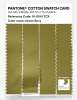 Artikelbild 3 des Artikels “PANTONE® COTTON SWATCH CARD 16-0541 TCX Green Envy “