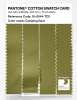 Artikelbild 3 des Artikels “PANTONE® COTTON SWATCH CARD 16-0544 TCX Camping Gear “
