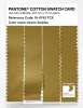 Product image 3 of the product “PANTONE® COTTON SWATCH CARD 16-0742 TCX Green Sulphur ”