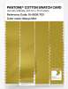 Artikelbild 3 des Artikels “PANTONE® COTTON SWATCH CARD 16-0838 TCX Mango Mint “