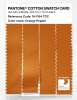 Artikelbild 3 des Artikels “PANTONE® COTTON SWATCH CARD 16-1164 TCX Orange Pepper “