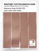 Artikelbild 3 des Artikels “PANTONE® COTTON SWATCH CARD 16-1220 TCX Café Crème “