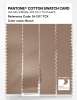 Product image 3 of the product “PANTONE® COTTON SWATCH CARD 16-1317 TCX Brush ”