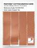 Product image 3 of the product “PANTONE® COTTON SWATCH CARD 16-1338 TCX Copper Tan ”