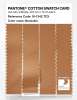 Product image 3 of the product “PANTONE® COTTON SWATCH CARD 16-1342 TCX Buckskin ”