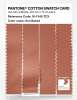 Artikelbild 3 des Artikels “PANTONE® COTTON SWATCH CARD 16-1345 TCX Sun Baked “